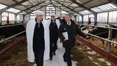 Субботин посетил учебный центр по производству молока "Калиново"