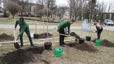 Аллея Мира появилась в Могилеве