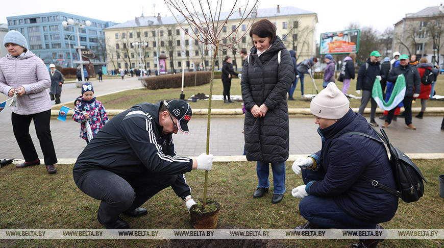 Пиневич принял участие в посадке деревьев в Комаровском сквере