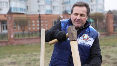 Коллектив Госстандарта высадил ясеневую аллею в Минске