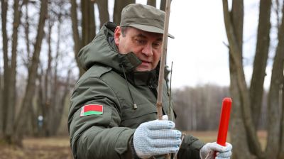 Головченко высадил аллею деревьев во время республиканского субботника