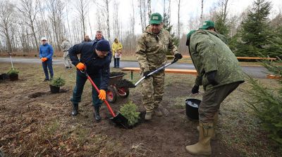 В Брестской области на субботнике высадили еловую аллею у скульптуры "Скорбящая мать"