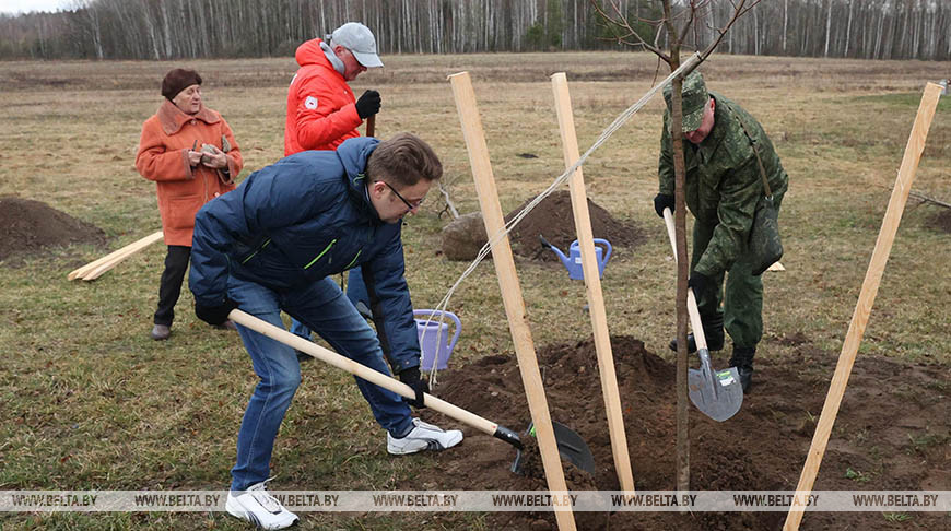 Около 270 тыс. человек вышли на республиканский субботник в Могилевской области