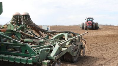 Все районы Витебской области приступили к посевной