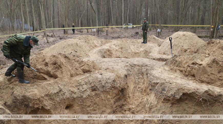 Останки не менее 30 человек обнаружили за три дня раскопок в Ченковском лесу под Гомелем