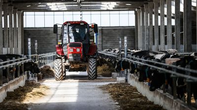 Новую молочно-товарную ферму открыли в Пинском районе