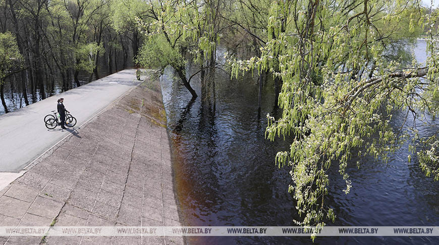 Уровень воды в Соже возле Гомеля поднимается к опасно высокой отметке