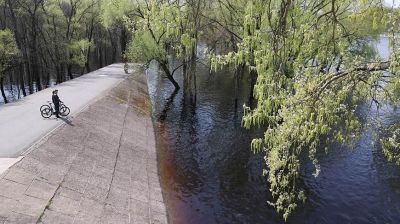 Уровень воды в Соже возле Гомеля поднимается к опасно высокой отметке