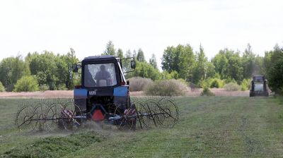 В Буда-Кошелевском районе приступили к заготовке сочных кормов