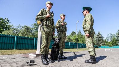 Пограничники заставы "Домачево" охраняют 15 км белорусско-польской границы