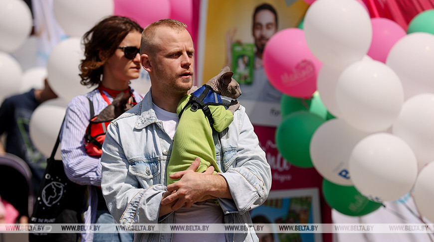Фестиваль домашних животных прошел в Минске