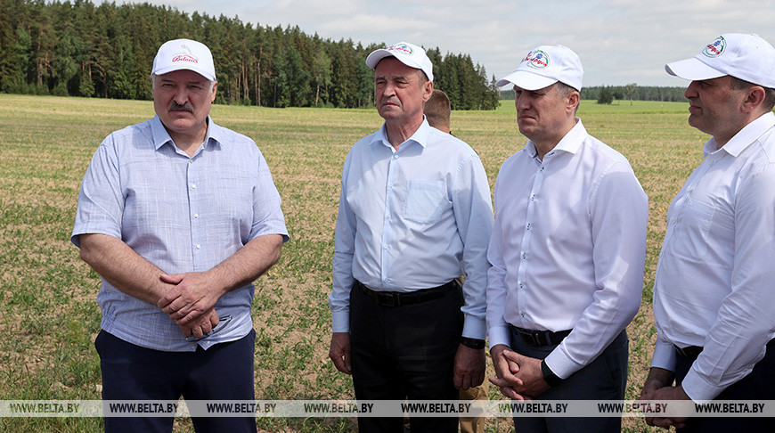 Лукашенко начал рабочую неделю на малой родине с рабочей поездки по сельхозтематике