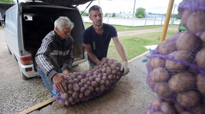 Гродненское облпотребобщество закупает у населения ягоды и овощи