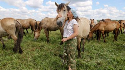 Белорусскую упряжную породу разводят на конеферме "Заречье"