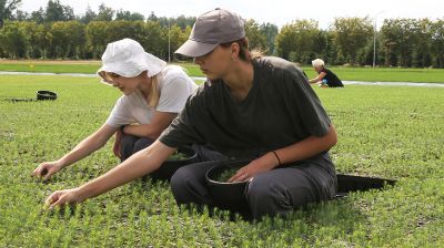 Два студенческих отряда работают в Могилевском лесхозе