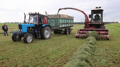 Второй укос трав продолжается в Гомельской области