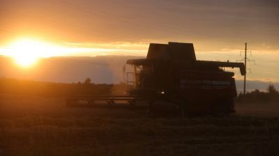 До захода солнца идет уборка зерновых в Гродненском районе
