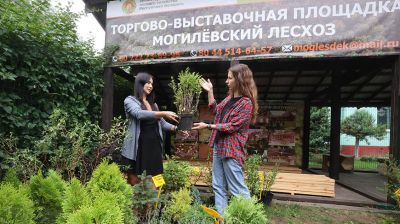 В Могилевской области заработала первая площадка по реализации продукции лесхозов