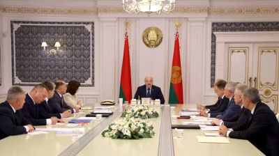 Законопроекты о гражданском обществе и партиях в Беларуси обсудили на совещании у Президента