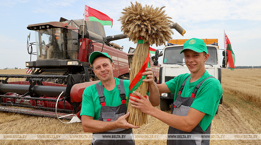 В Витебской области чествовали хлеборобов, намолотивших миллионную тонну зерна