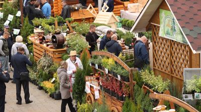 Выставка "Лесдревтех" открылась в Минске