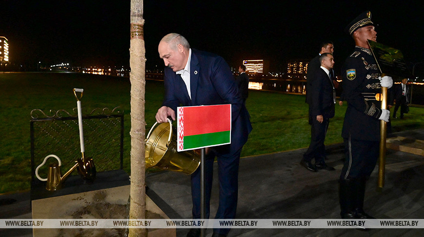 Лукашенко высадил дуб на аллее ШОС в Самарканде