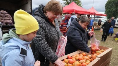 Сезон осенних ярмарок стартовал в Могилеве