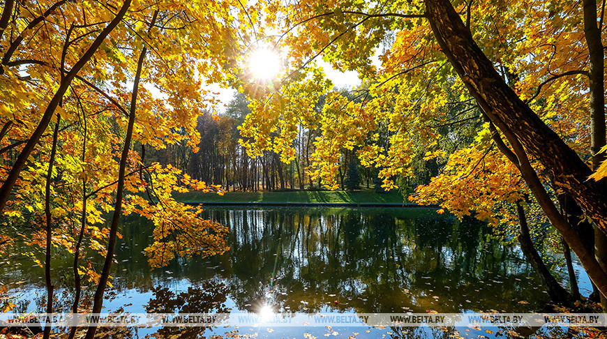 Золотая осень в Минске