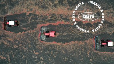 ЛУЧШИЕ ФОТО НЕДЕЛИ ПО ВЕРСИИ БЕЛТА