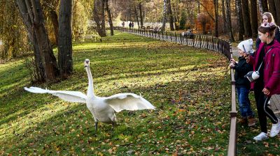 Осень в Центральном ботаническом саду