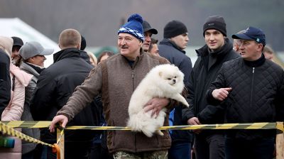 Лукашенко посетил чемпионат по колке дров среди журналистов