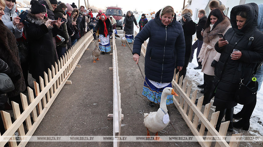 В агрогородке Белая Дуброва Костюковичского района состоялся районный праздник "Гусінае свята"