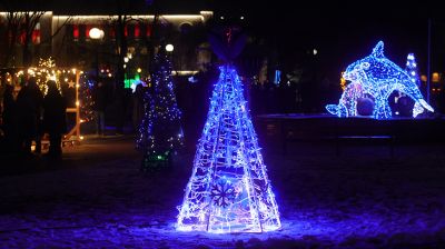 В Гродно зажгли огни на аллее дизайнерских новогодних елок