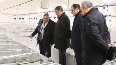 Новый свиноводческий комплекс открылся в Пинском районе