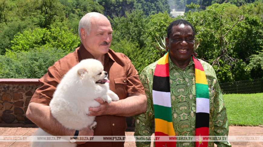 Лукашенко вместе с Мнангагвой посетил водопад Виктория