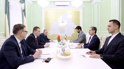 Турчин встретился с послом Ирана