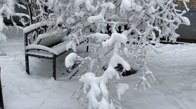 В Минске выпал снег