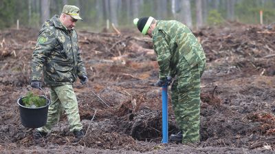 Совбез принял участие в республиканской акции "Неделя леса"