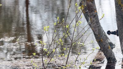 Весеннее половодье на реках Беларуси