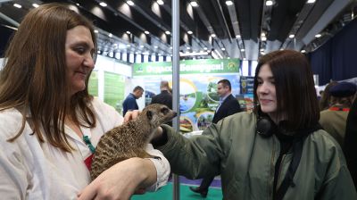 В Минске открылась международная ярмарка туруслуг "Отдых-2023"