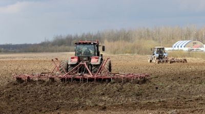 Аграрии Витебской области посеяли 13% яровых зерновых и зернобобовых культур