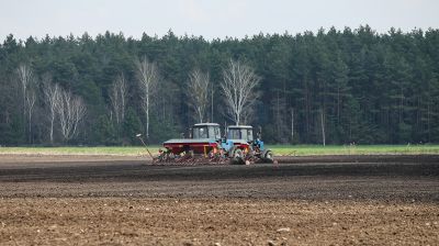 Полевые работы по севу льна завершаются в Ляховичском районе