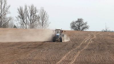 Могилевская областная сельскохозяйственная опытная станция НАН Беларуси приступила к севу нового сорта льна
