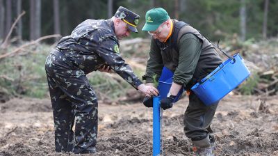 Головченко принял участие в высадке леса в Окинчицком лесничестве