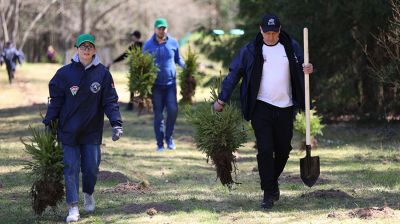 Акция "1000 деревьев памяти" прошла в "Хатыни"