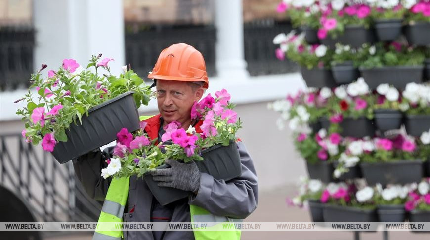 Более 450 тыс. цветов будет высажено на городских клумбах Гомеля нынешней весной