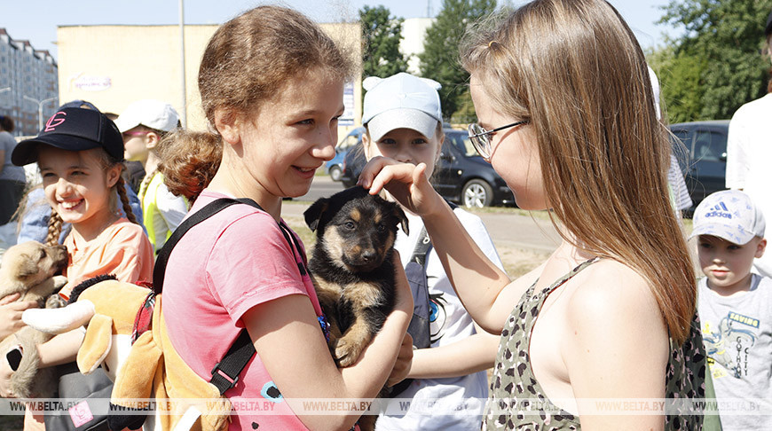 В Минске прошла акция "Лапа дружбы", посвященная Дню защиты детей