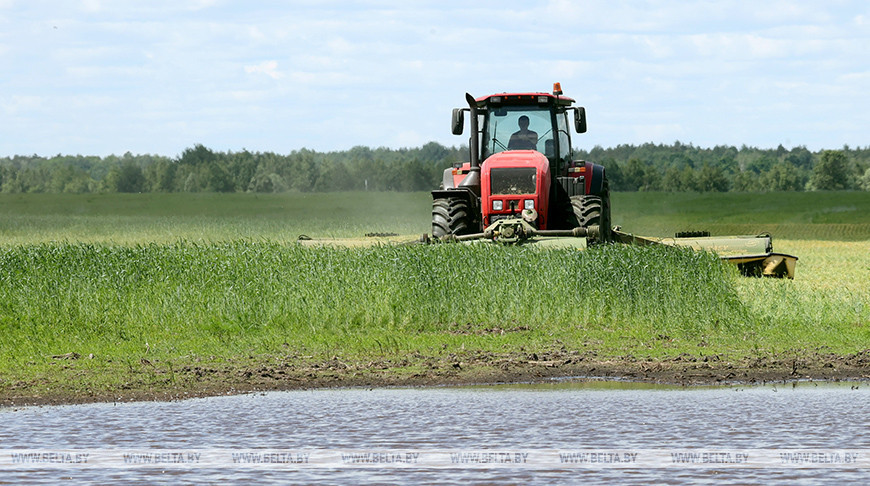 Более 1 тыс. тонн сенажа из первого укоса трав заготовили механизаторы в СПК "Дружба-Автюки"