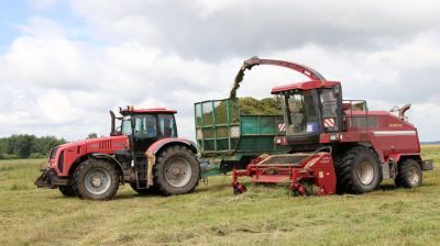 Почти 3 тыс. тонн кормов из трав первого укоса заготовили в ОАО "Жгунское" Добрушского района