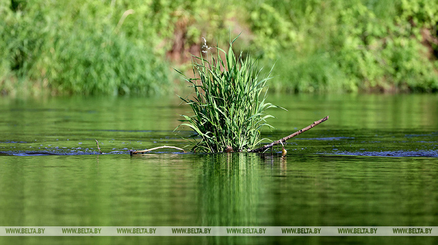 Река Свислочь - правый приток Березины